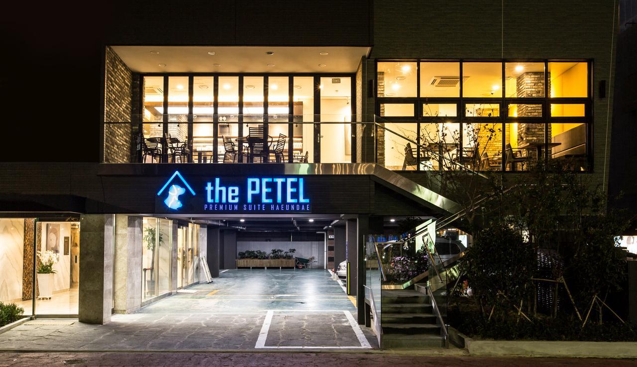 The Petel Premium Suite Puszan Kültér fotó