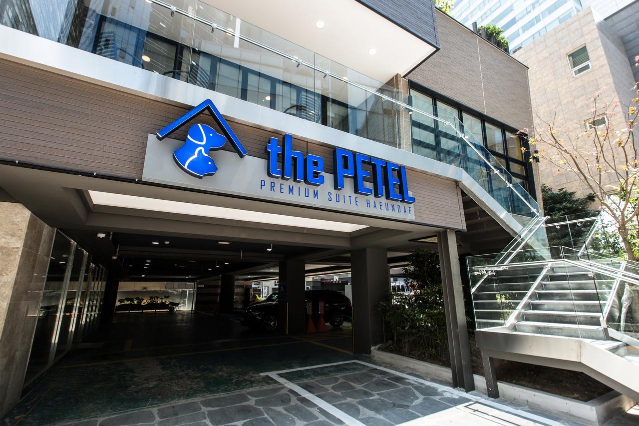 The Petel Premium Suite Puszan Kültér fotó