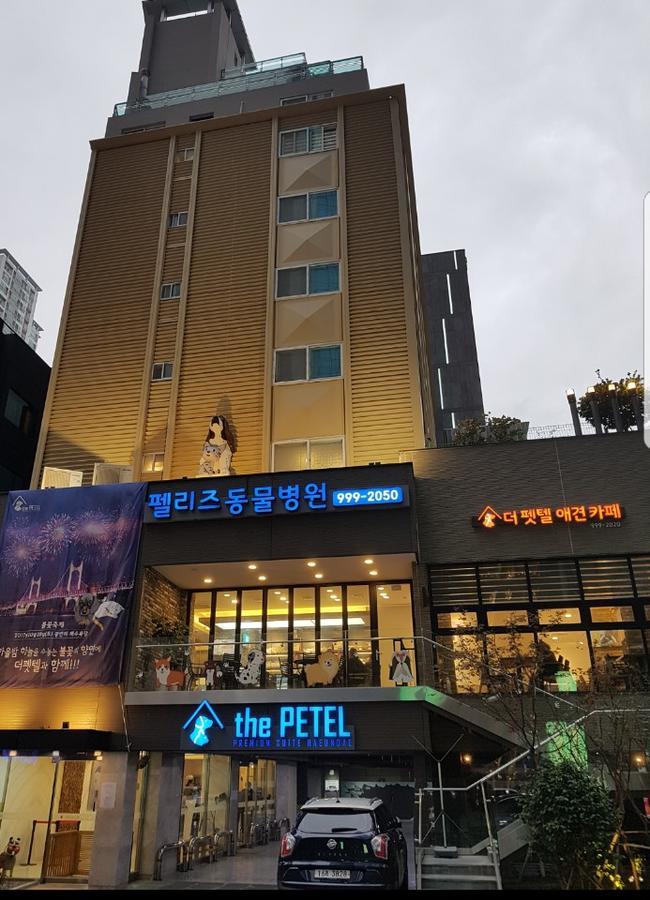 The Petel Premium Suite Puszan Kültér fotó